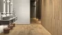 3D EXPERIENCE